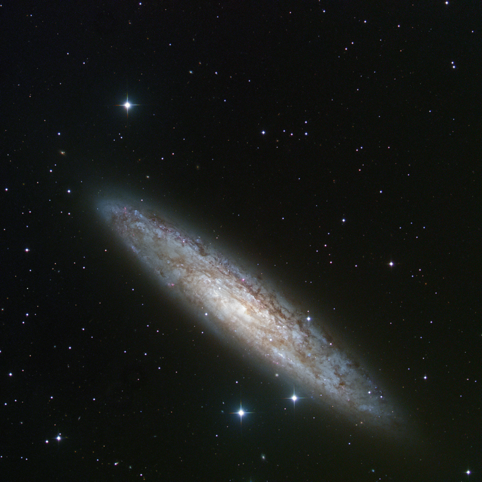 Sculptor Galaxy Telescope Live